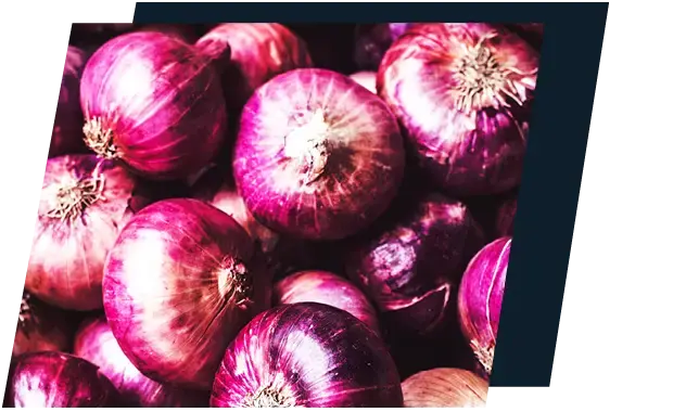 customer Bedgrow uses a CMMS for their onions customer Bedgrow uses a CMMS for their onions